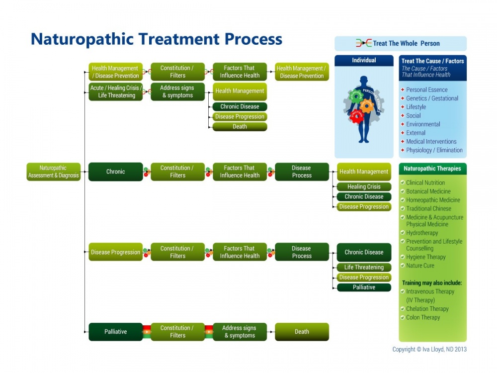 Naturopathic-Therapeutic Order 2.jpg
