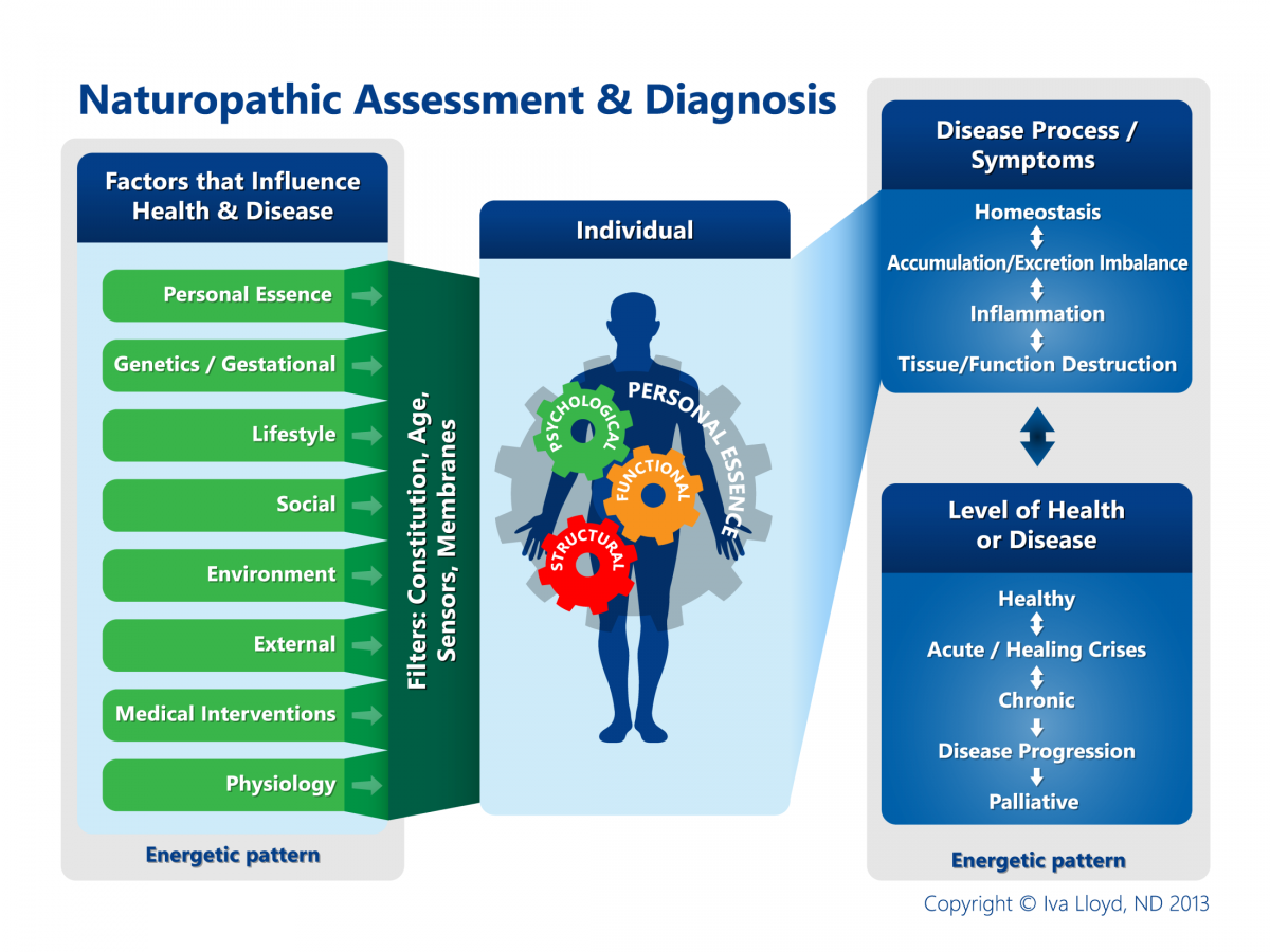Naturopathic Assessment - Health Facts