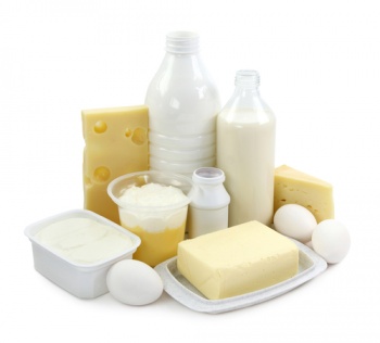 Dairy products.jpg